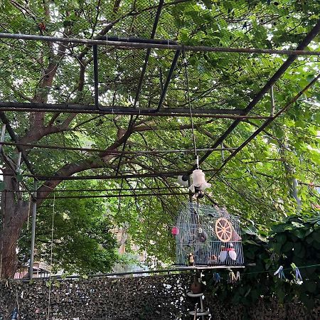 3 Room Flat In 트빌리시 외부 사진